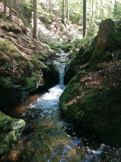 Fotografie z Dagmar Hofer na trase
