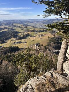 Foto von Josef Tripolt entlang der Tour