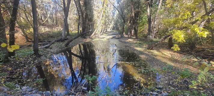 Fotografia z Zoltán karakai na trase