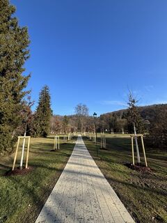 Fotografie z RS76 na trase