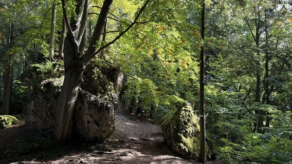 Foto de Jörg Lengenfelder a lo largo del recorrido