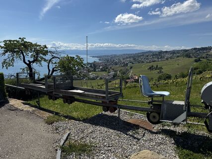 Fotografija s spletne strani Reymadlen na poti