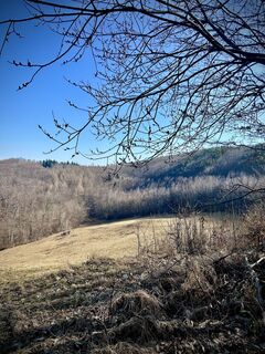 Foto de Kellner Heidi a lo largo del recorrido