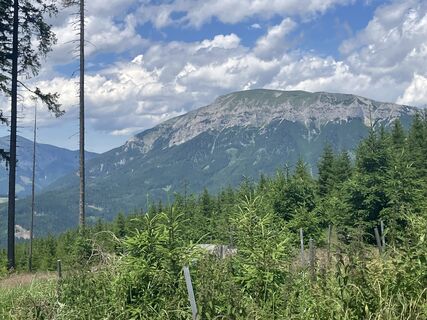 Photo de edetsbm6 le long du parcours