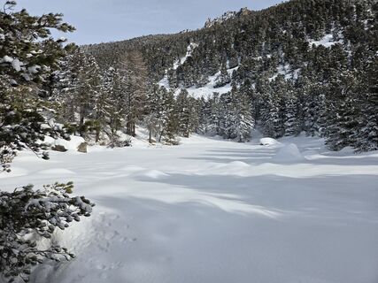 Foto van FABIO MAGLIANO langs de tour