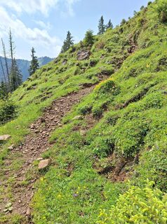 Foto da Hermann E. lungo il tour