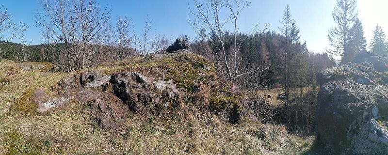 Rundwanderweg "Moosburg / Moosbachtal" Steinbach-Hallenberg - Thüringer Wald
