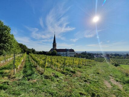 WeinWanderWeg Gumpoldskirchen