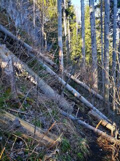 Foto de 3d63 ru^^n3r a lo largo del recorrido