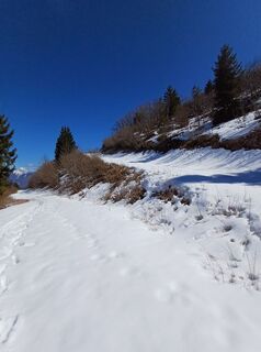 Foto från Franz Seidl under resans gång