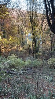 Foto de Miklós György Muth a lo largo del recorrido