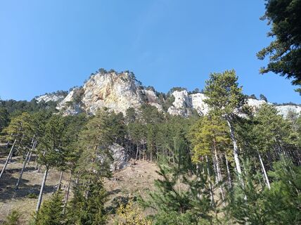 Foto von Bergpirat entlang der Tour