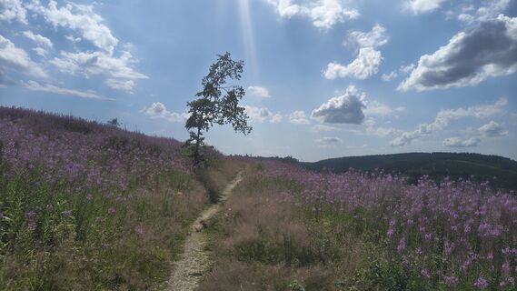 Photo de Sauerpurzel le long du parcours