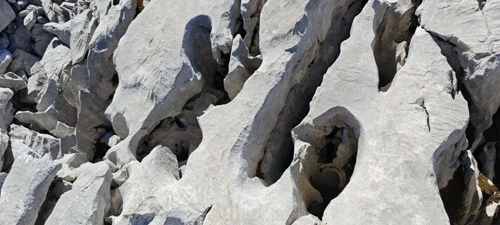 Photo de deniuru le long du parcours