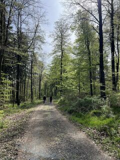 Fotografija s spletne strani Andrea Vogt na poti