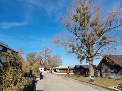 Fotografia z Felix na trase