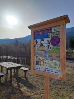 Landwirtschaftsweg Unternberg 1