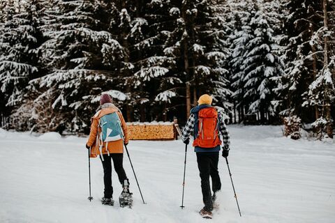 Mit Schneeschuhen unterwegs im Winteridyll