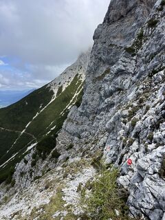 Foto von Heikoala entlang der Tour