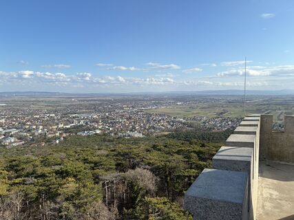 Foto de glanzis a lo largo del recorrido