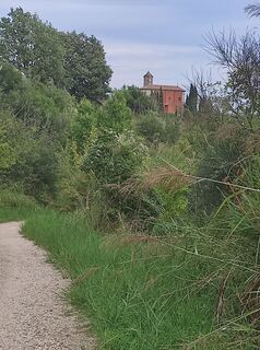 Photo de Brigitte Scheuffele le long du parcours