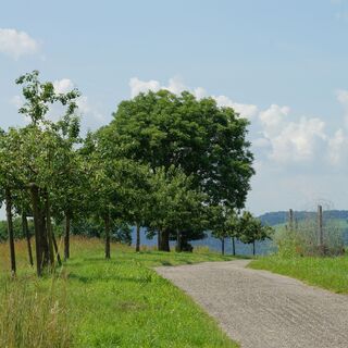 Hugenotten- und Waldenserpfad bei Calw