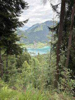 Foto von Heinz Sperl entlang der Tour