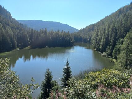 Fotografija s spletne strani Ugo Olivotto na poti