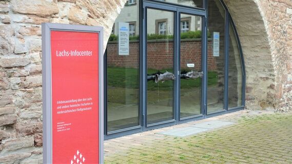 Lachs Infocenter