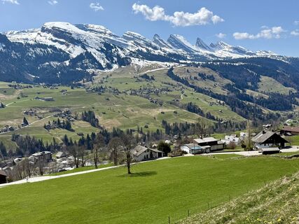 Фото с сайта Daniel Herz во время экскурсии