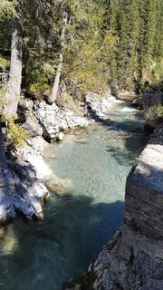 Fotografia z Johanna Stieger na trase