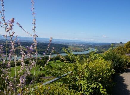 Panoramablick von Maria Taferl auf Donau und Nibelungengau