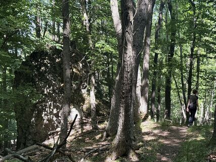 Fotografie z István Rab na trase