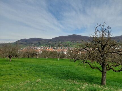 Foto von Conny Deutsch entlang der Tour