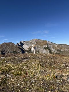 Photo de Nina Wolf le long du parcours