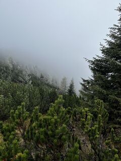 Foto de Falk Drechsel a lo largo del recorrido