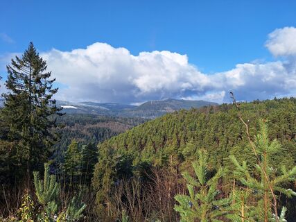 Foto de Katharina a lo largo del recorrido
