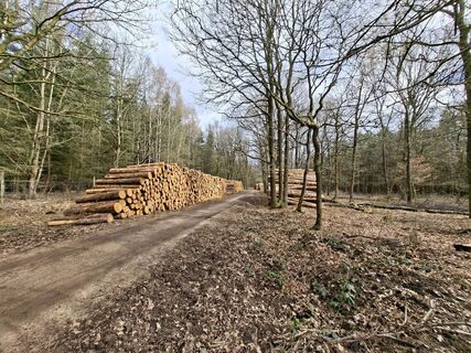 Foto von Keramiek entlang der Tour