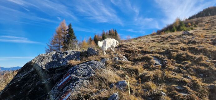 Foto von helmut sonnberger entlang der Tour