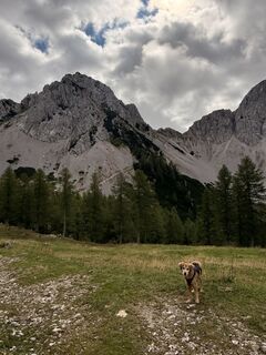 Fotografija s spletne strani Hans Peter Gröchenig na poti