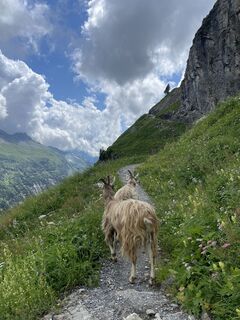 Foto fra Martin Reinhard undervejs på turen