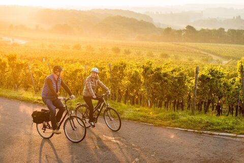 Radfahren in den Weinbergen