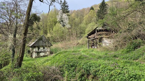 Foto von Miha Znidarsic entlang der Tour
