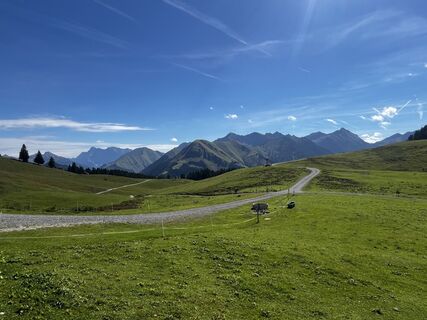 Zdjęcie z Timberwolf_Bavaria wzdłuż trasy