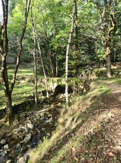 Photo de Wolfram Bechtel Ma le long du parcours