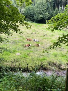 Panoramatour Katzenmoos
