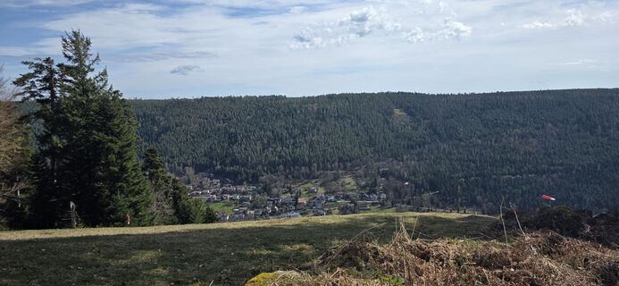 Fotografija s spletne strani Mel 9 na poti