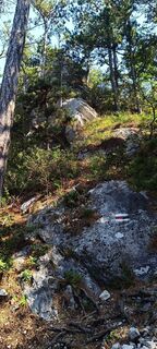 Photo de PPK le long du parcours