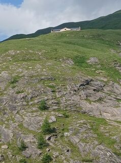 Foto von Fantom RoK entlang der Tour