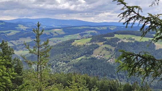 Photo de Josef Leeb le long du parcours